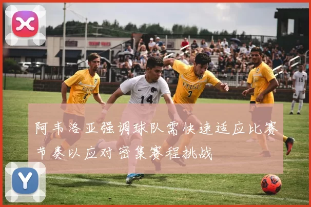阿韦洛亚强调球队需快速适应比赛节奏以应对密集赛程挑战